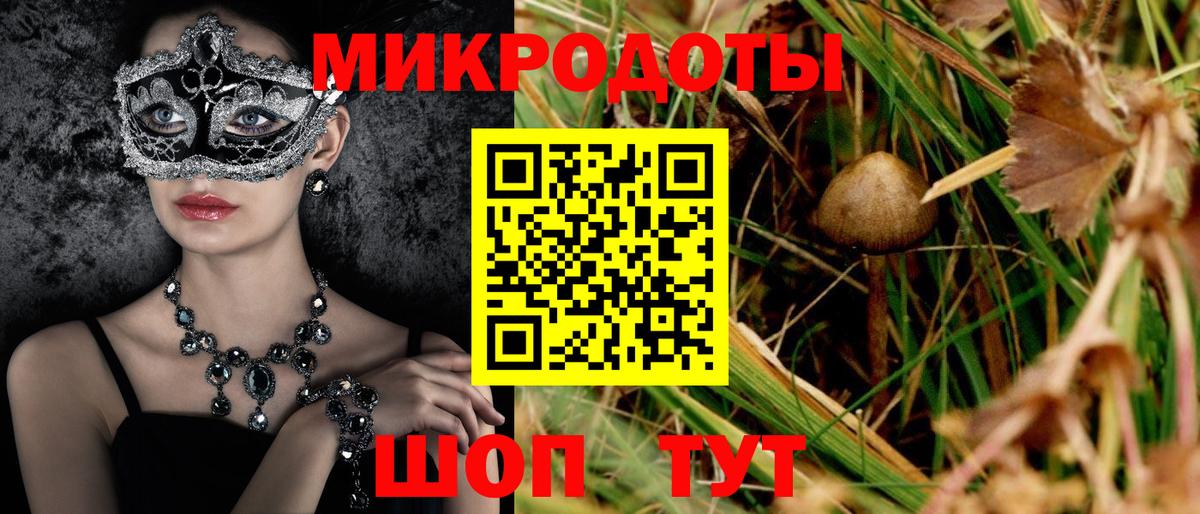 Великий Новгород  Галлюциногенные грибы Psilocybe  Вход с VPN 